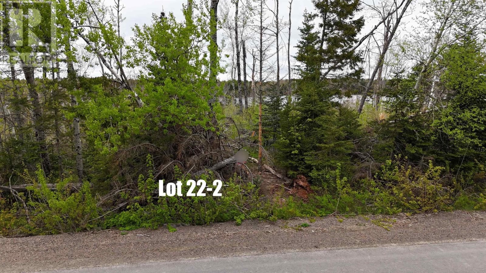 Lot 22-2 Lake Road, Mattatall Lake, Nova Scotia  B0M 1Z0 - Photo 3 - 202407088
