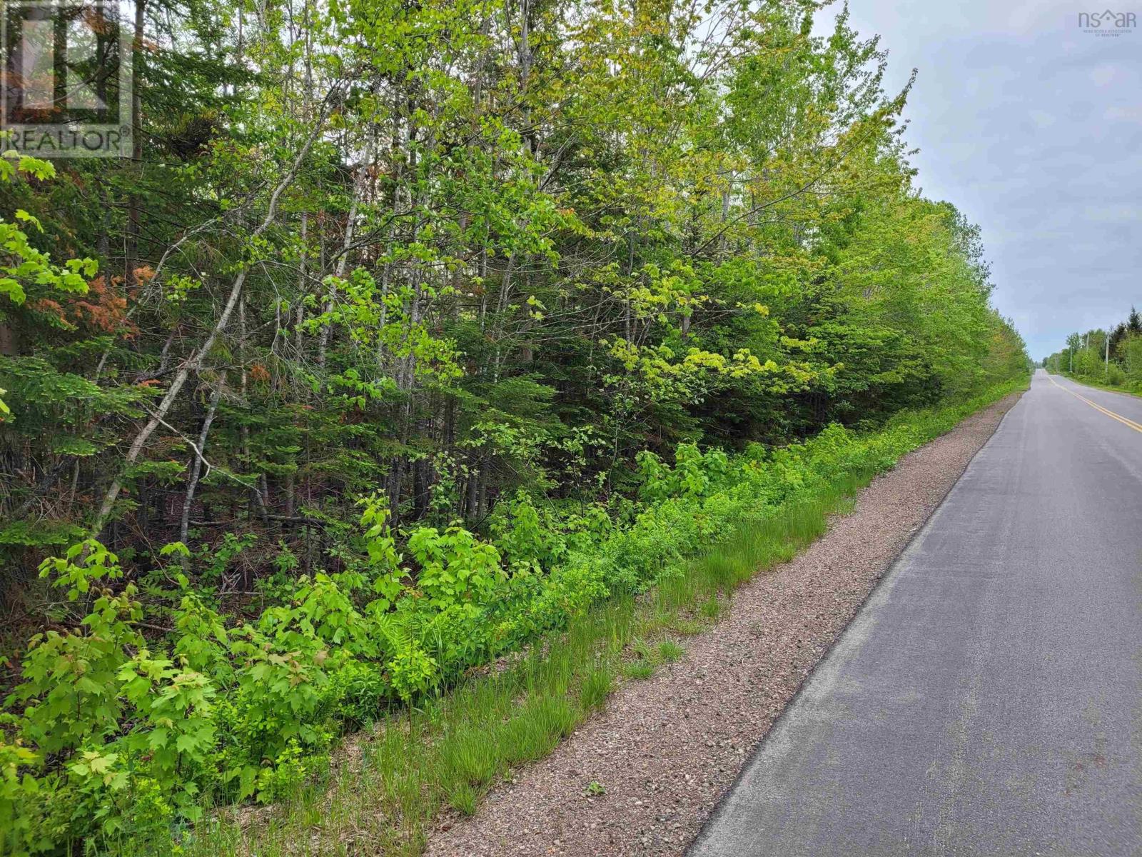 Lot Tattrie Settlement Road, French River, Nova Scotia
