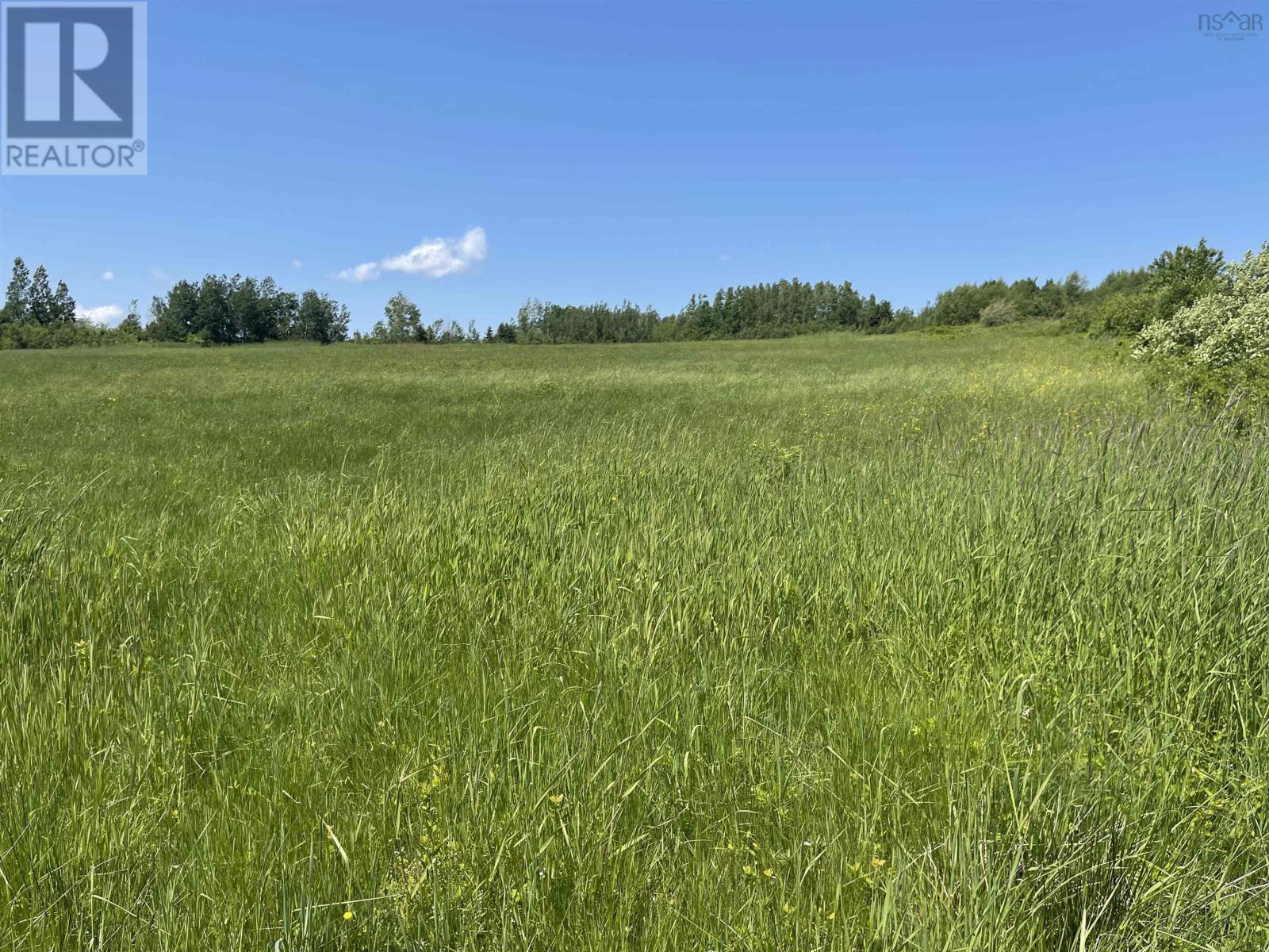 Lot 36 Saltwater Drive, Malagash, Nova Scotia  B0K 1E0 - Photo 3 - 202501772