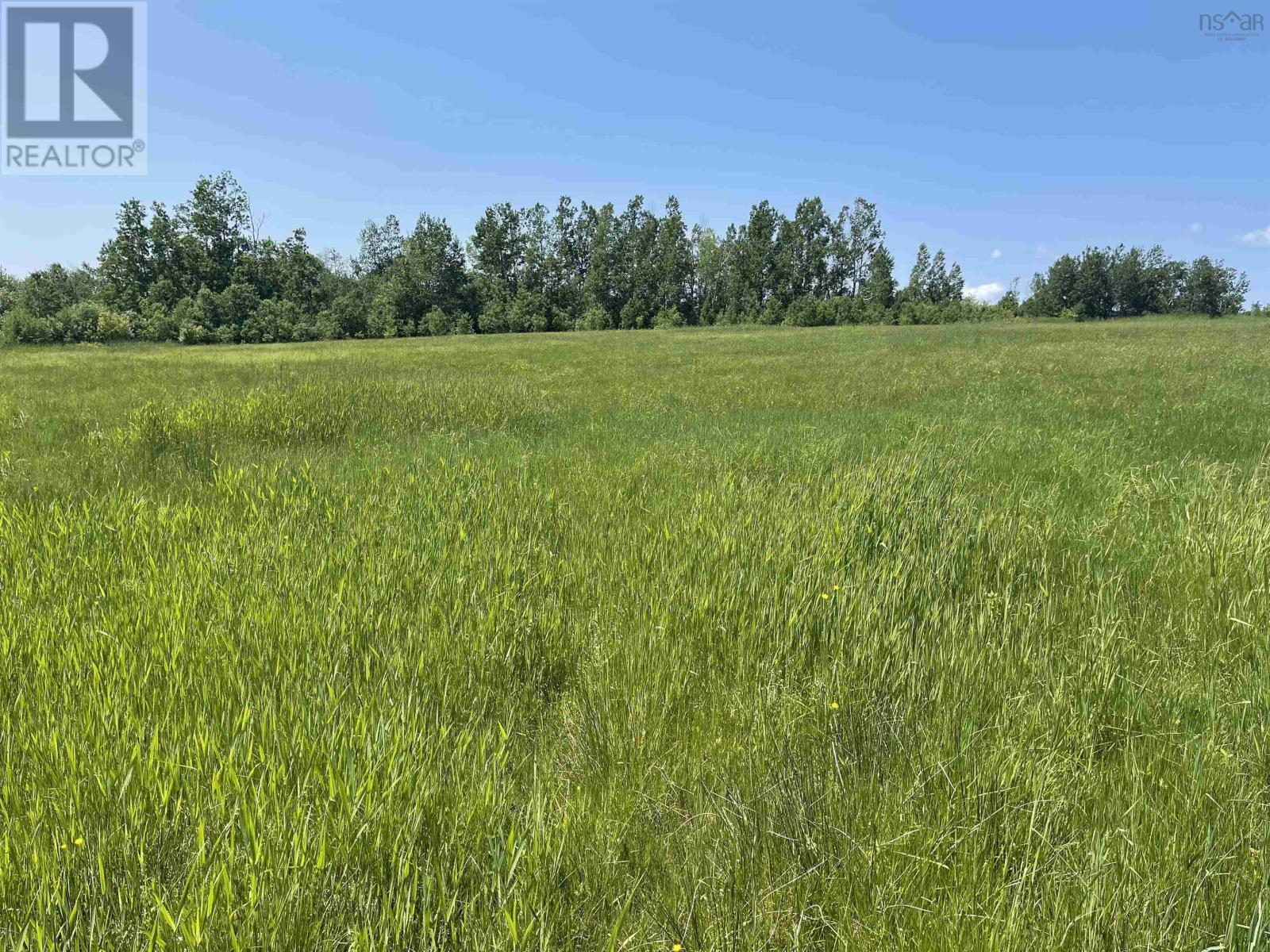 Lot 36 Saltwater Drive, Malagash, Nova Scotia  B0K 1E0 - Photo 5 - 202501772
