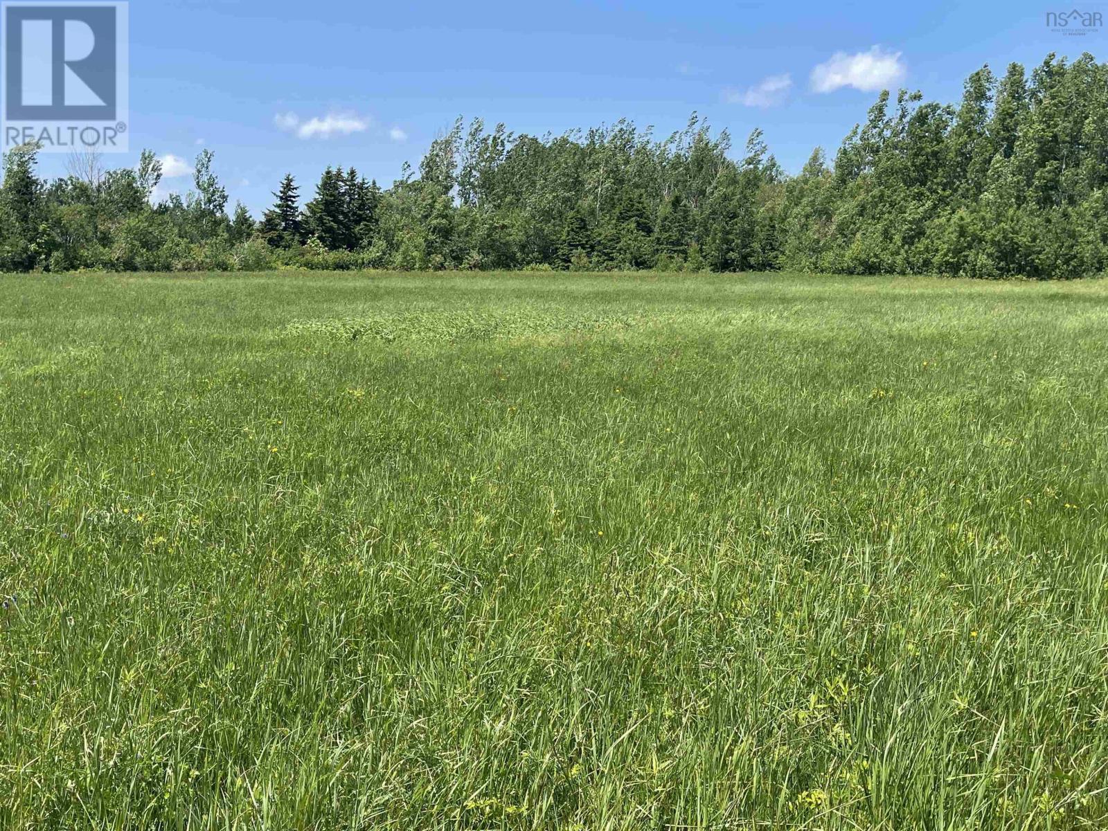 Lot 36 Saltwater Drive, Malagash, Nova Scotia  B0K 1E0 - Photo 8 - 202501772