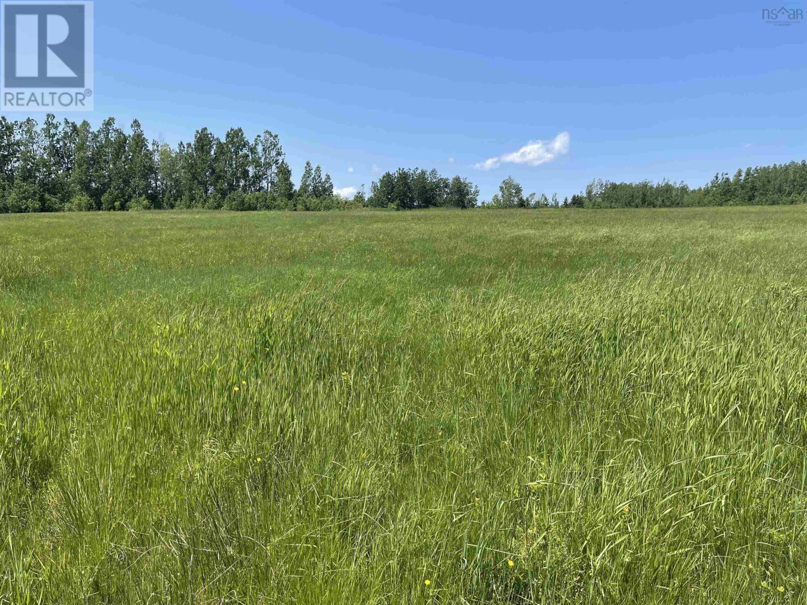 Lot 37 Saltwater Drive, Malagash, Nova Scotia  B0K 1E0 - Photo 4 - 202501773