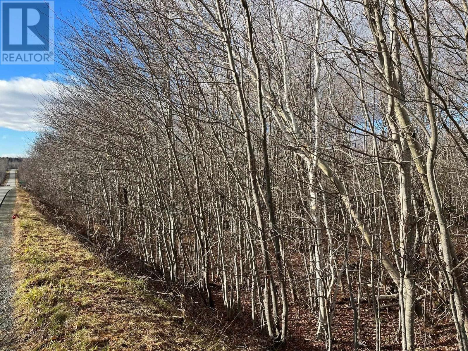 Lot 5 Little Egypt Road, Pictou County, Nova Scotia