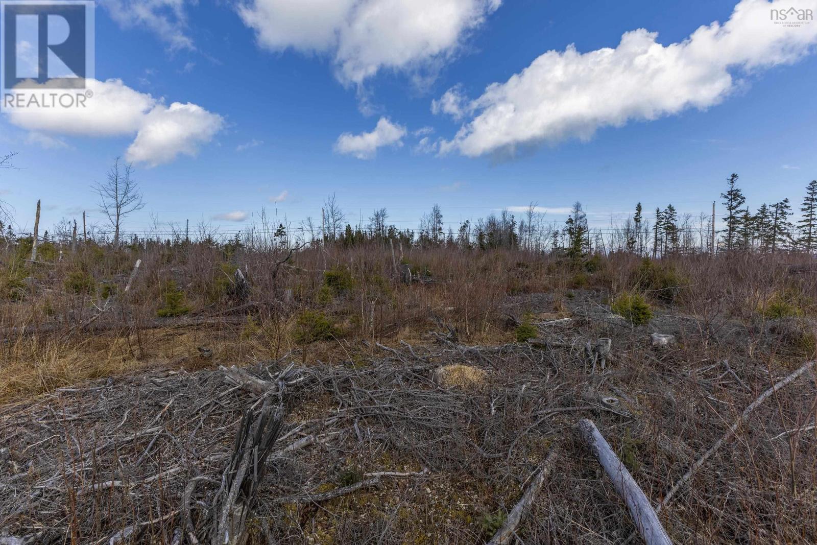 Lots Shore Road, Waterside, Nova Scotia  B0K 2A0 - Photo 17 - 202506257
