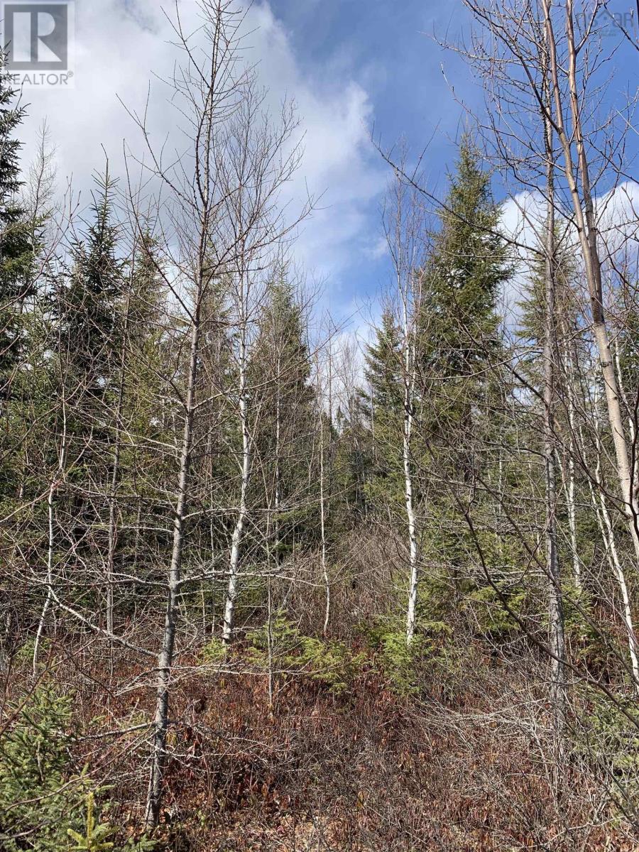 Lot Hunter West Road|Wentworth Valley Preserve, Wentworth Valley, Nova Scotia