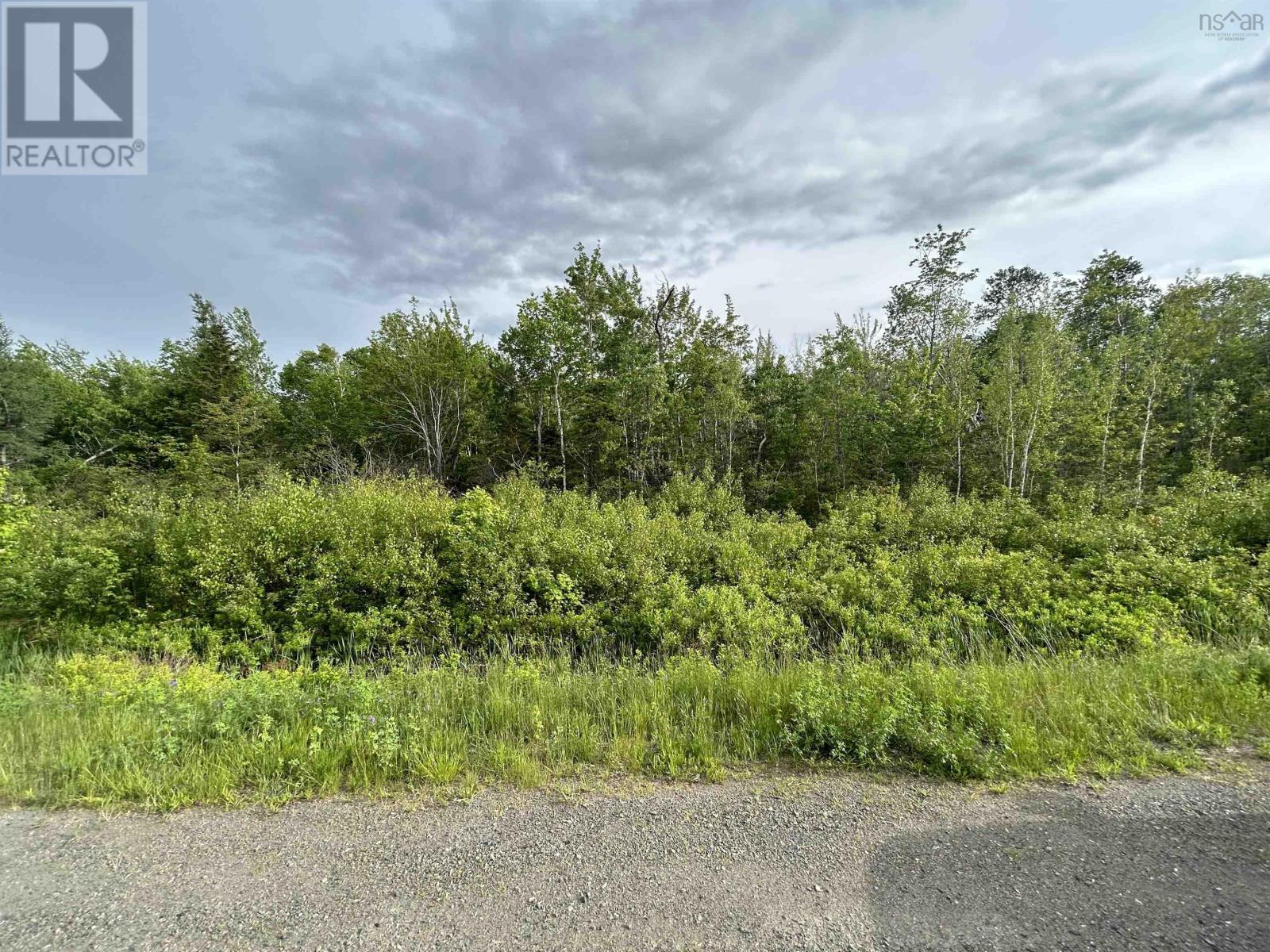 No 104 Highway, Wentworth, Nova Scotia  B0M 1X0 - Photo 4 - 202510026