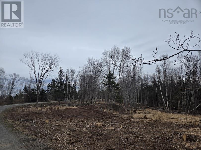 Lot 21 Birch Hill Lane, Caribou River, Nova Scotia
