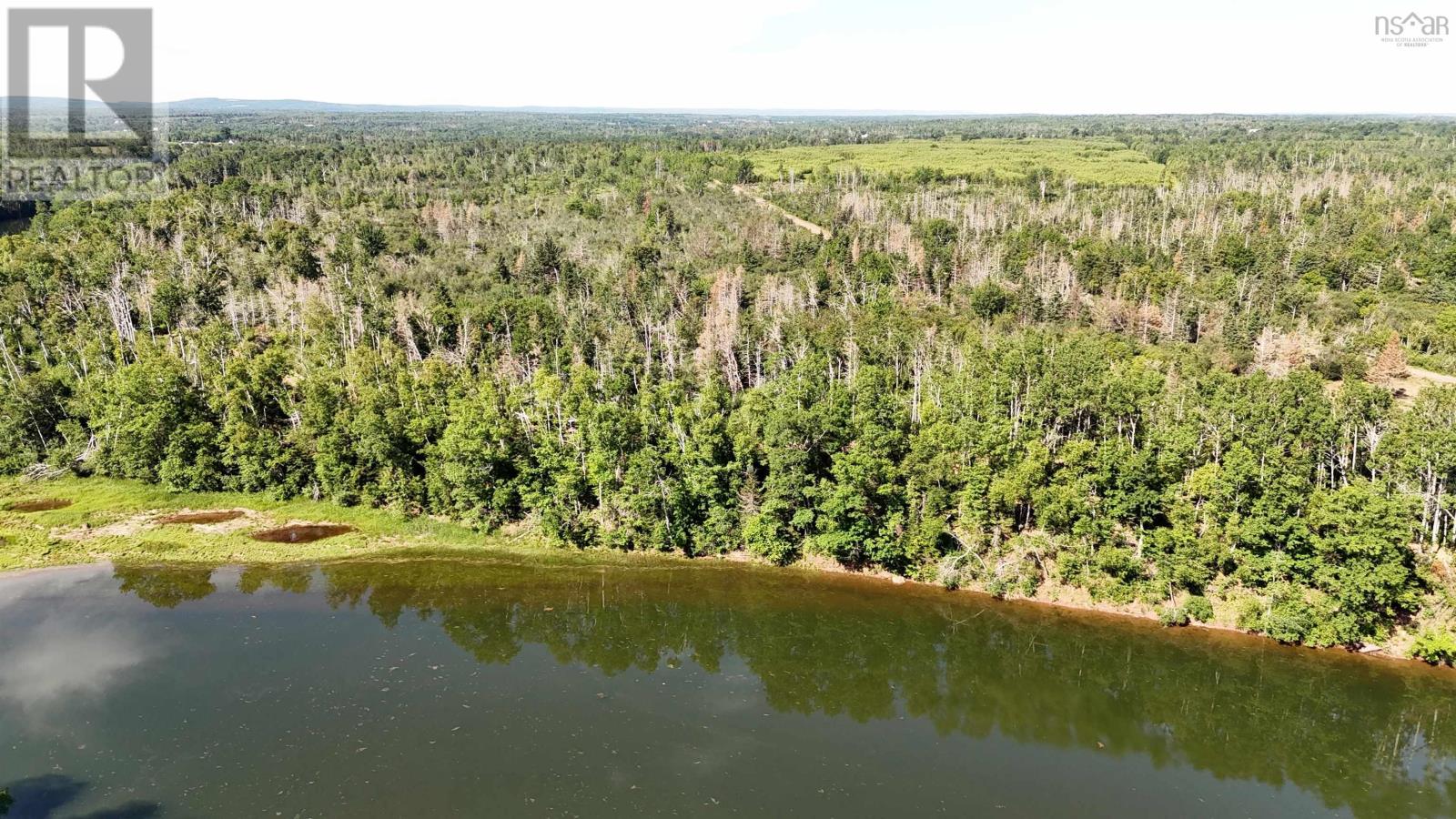 5+- Acres Roger Road, River John, Nova Scotia  B0K 1N0 - Photo 4 - 202511896