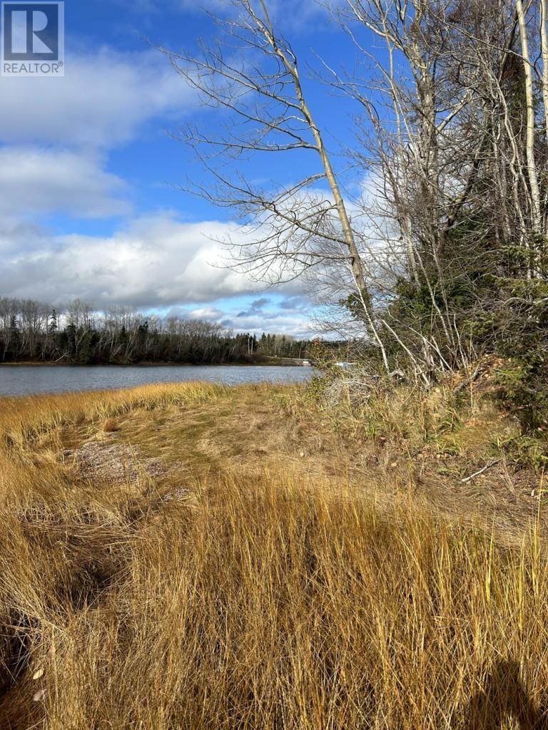 Narrows Lane, Tatamagouche, Nova Scotia  B0K 1V0 - Photo 4 - 202515006