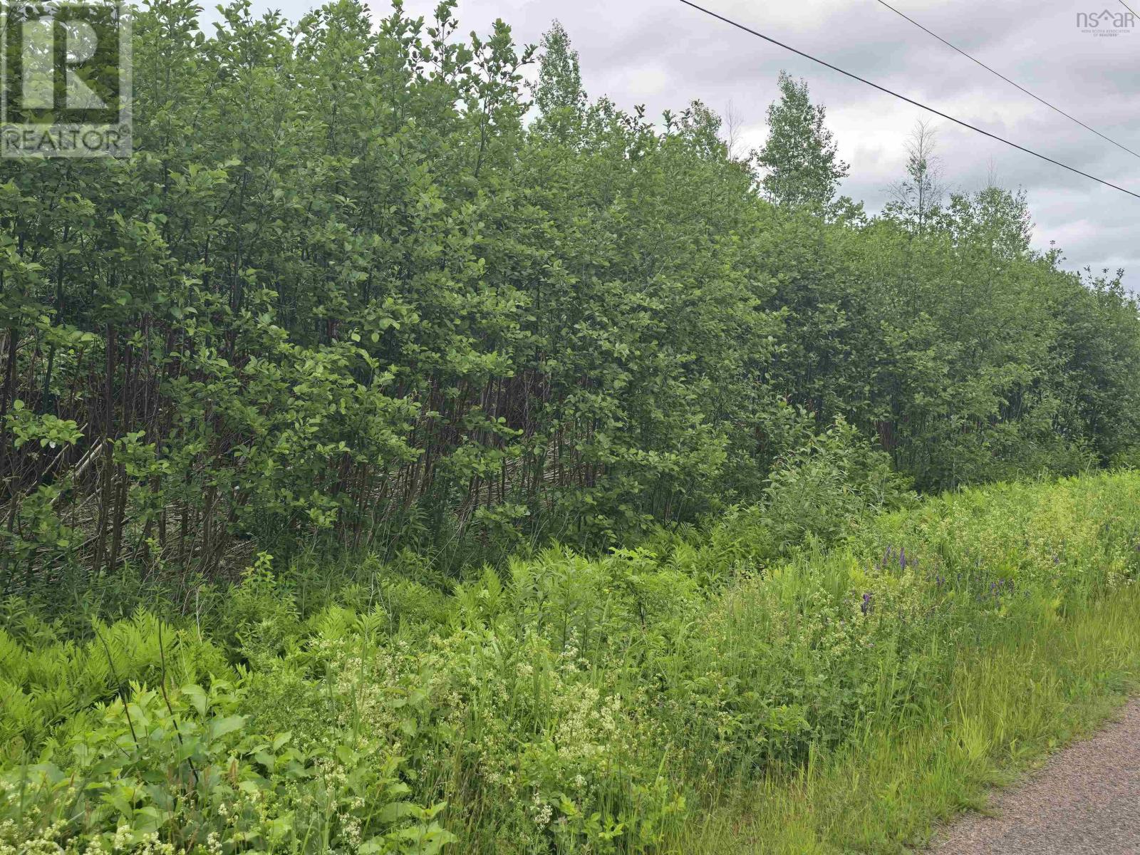 Lot 6 41 Brule Shore Road, Barrachois, Nova Scotia  B0K 1V0 - Photo 8 - 202515320