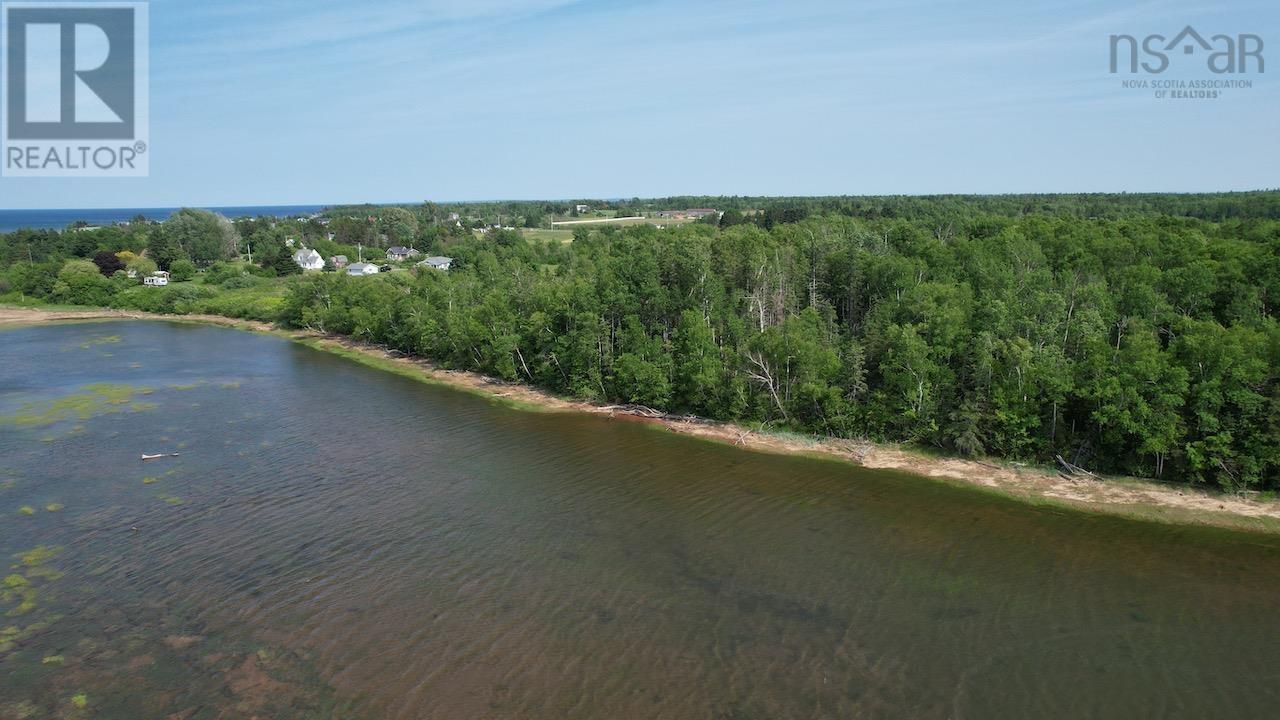 366 Highway Highway, Northport, Nova Scotia  B0L 1E0 - Photo 6 - 202515607