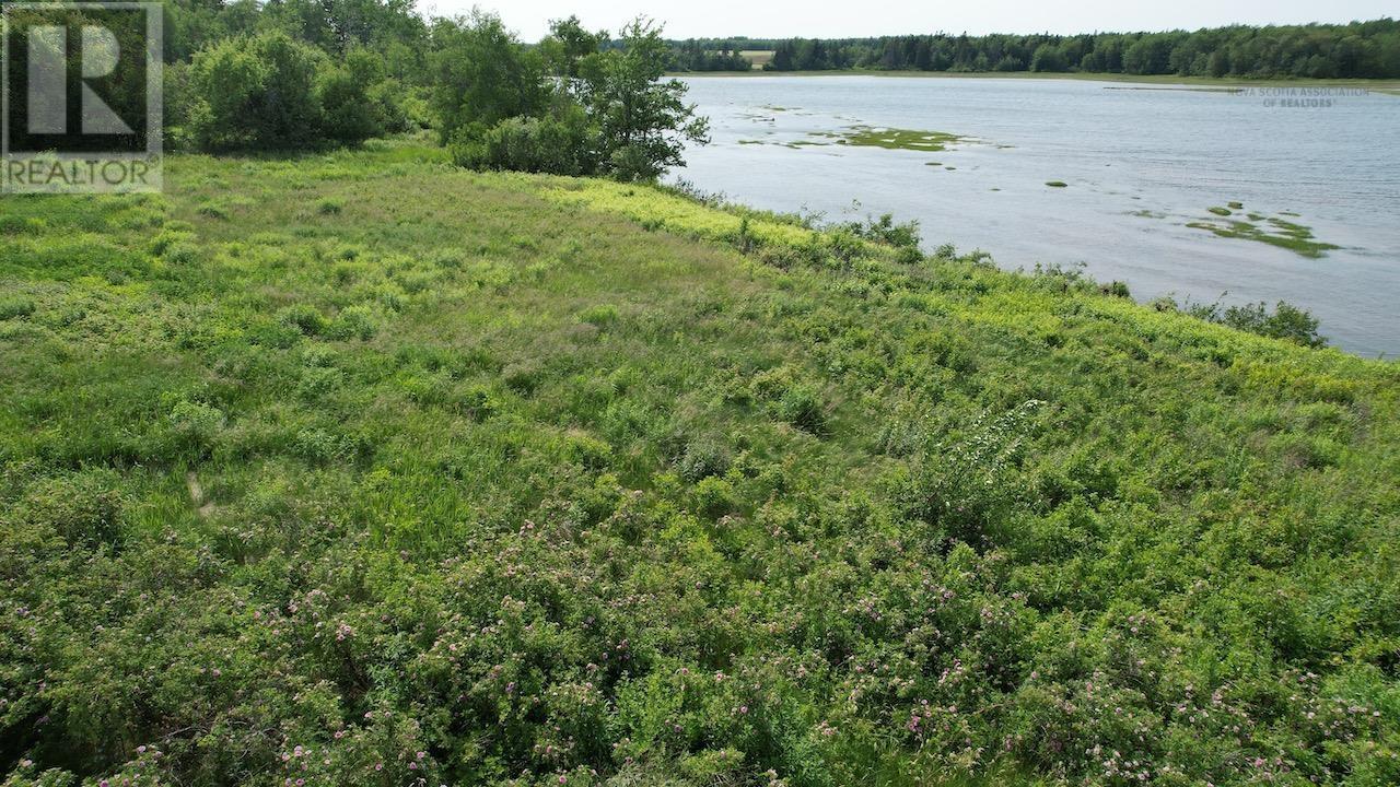 366 Highway Highway, Northport, Nova Scotia  B0L 1E0 - Photo 10 - 202515616