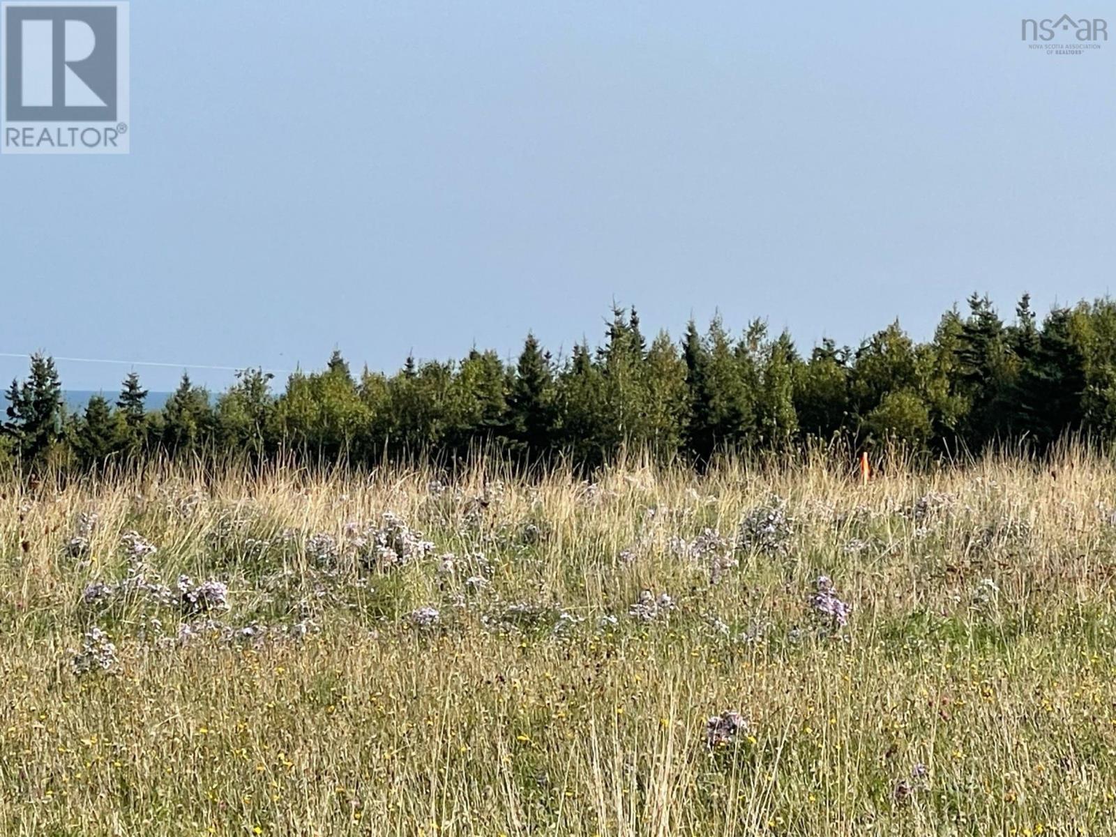 Lot 19 Beach Chair Lane, Pugwash, Nova Scotia  B0K 1L0 - Photo 7 - 202516586