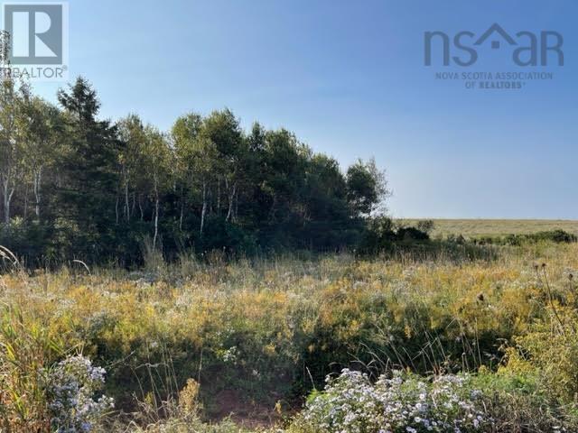 Lot 20 Beach Chair Lane, Pugwash, Nova Scotia  B0K 1L0 - Photo 4 - 202516587