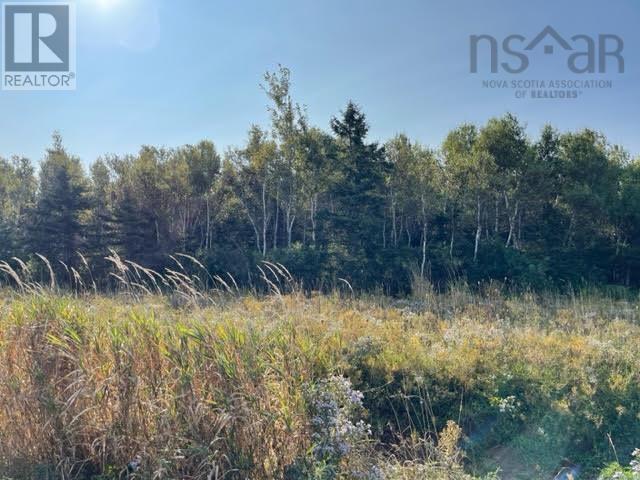 Lot 21 Beach Chair Lane, Pugwash, Nova Scotia  B0K 1L0 - Photo 12 - 202516588