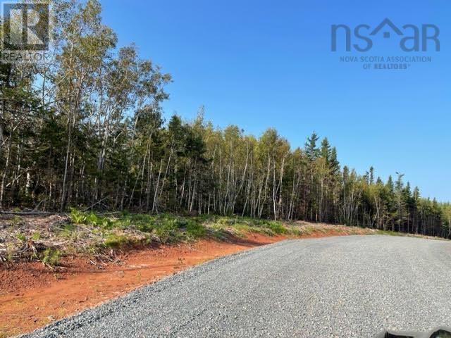 Lot 22 Sea Glass Terrace, Pugwash, Nova Scotia  B0K 1L0 - Photo 11 - 202516589