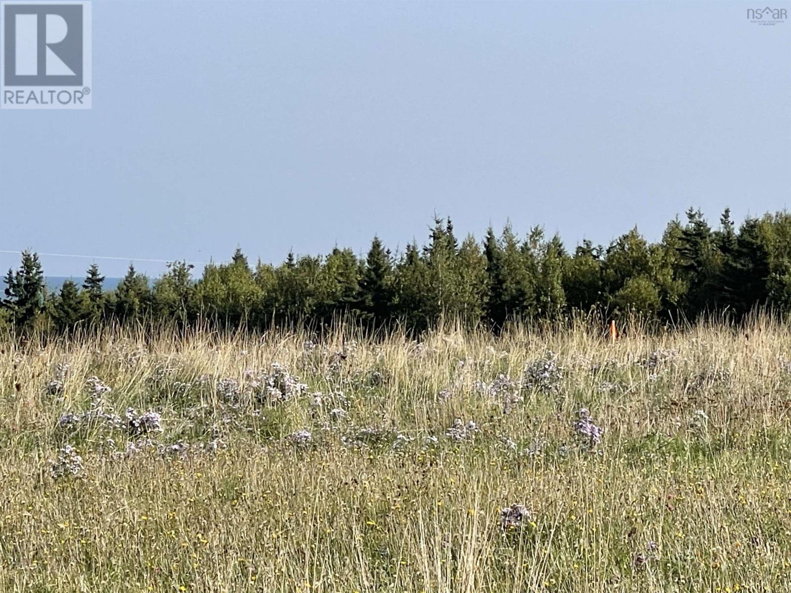 Lot 29 Sea Glass Terrace, Pugwash, Nova Scotia  B0K 1L0 - Photo 23 - 202516610