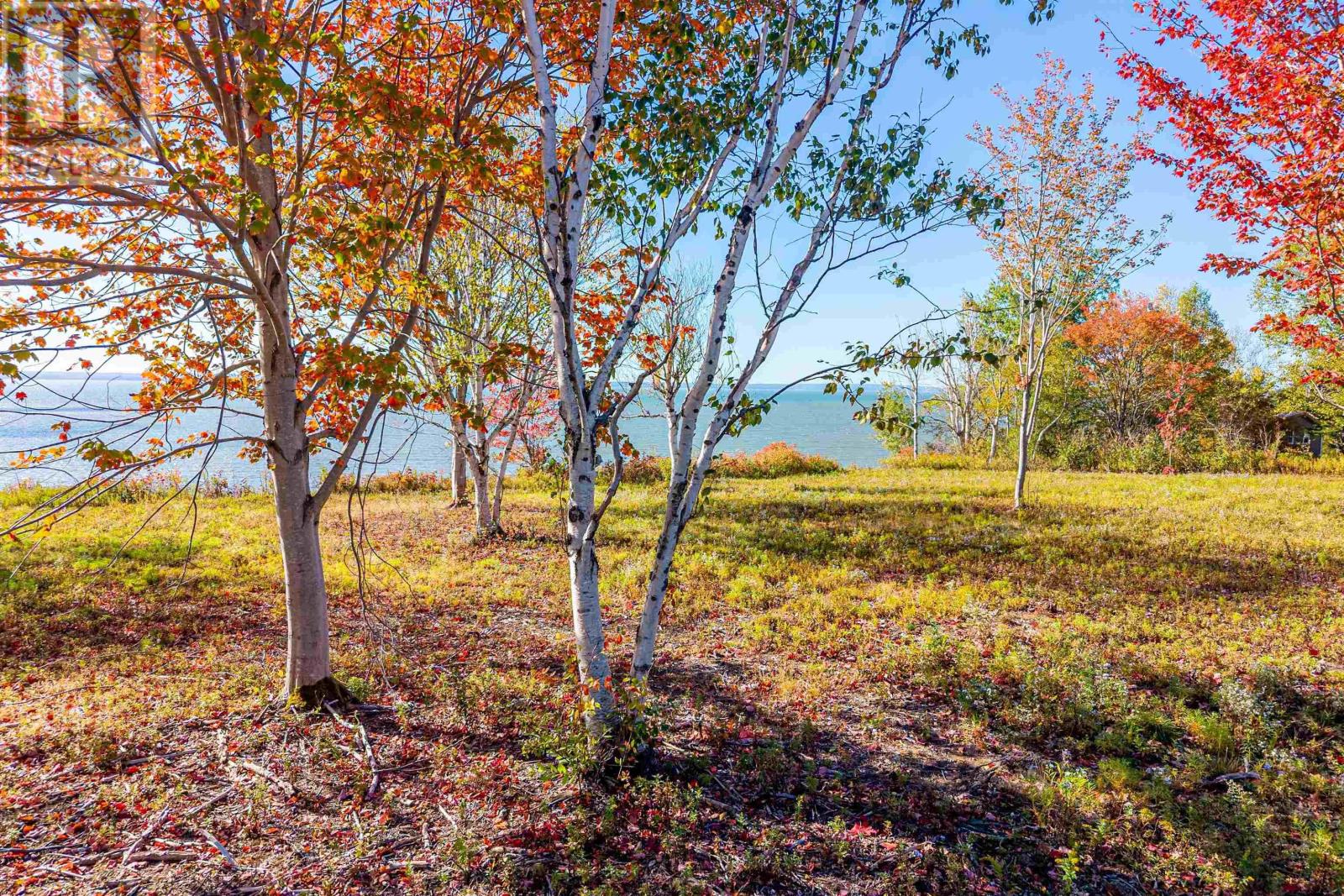 Lot 4 Highway 2, Upper Economy, Nova Scotia  B0M 1B0 - Photo 22 - 202518531