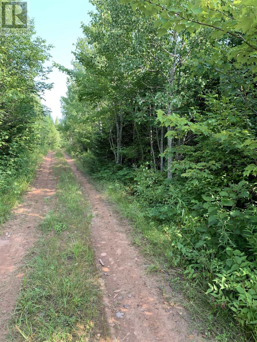 Lot 4b Hunter Road, Wentworth Valley, Nova Scotia  B0M 1Z0 - Photo 11 - 202521316