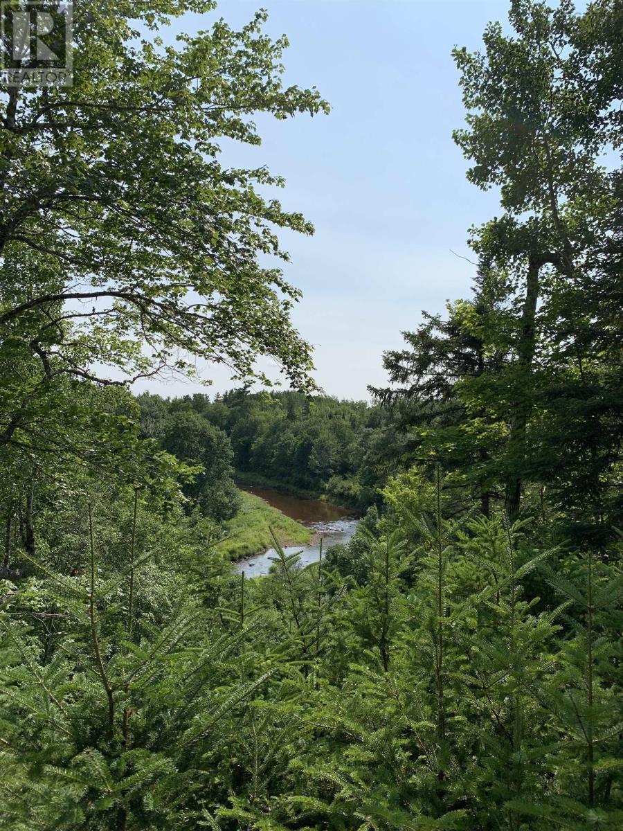 Lot 4b Hunter Road, Wentworth Valley, Nova Scotia  B0M 1Z0 - Photo 12 - 202521316