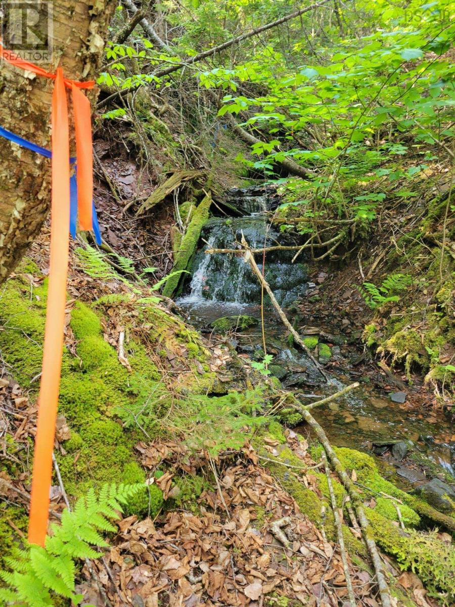 Lot 4b Hunter Road, Wentworth Valley, Nova Scotia  B0M 1Z0 - Photo 13 - 202521316