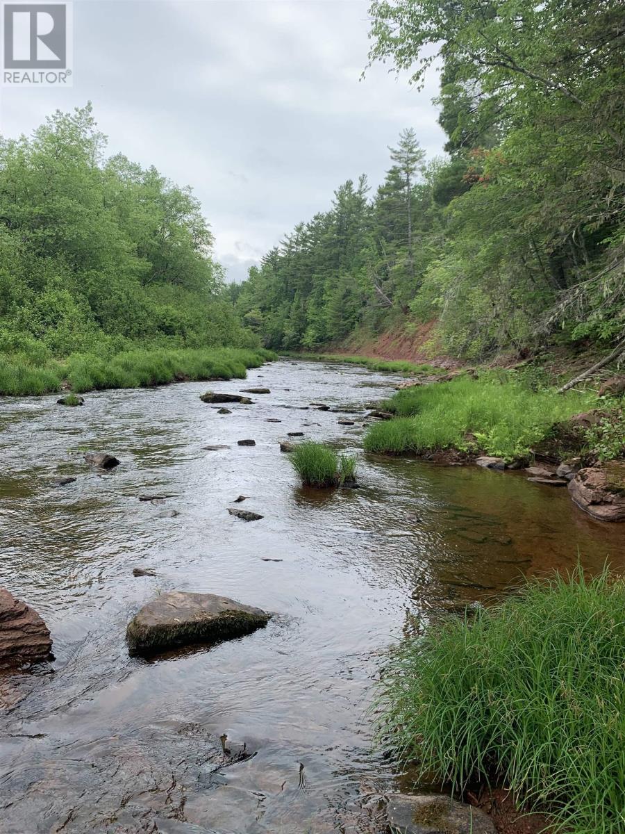Lot 4b Hunter Road, Wentworth Valley, Nova Scotia  B0M 1Z0 - Photo 14 - 202521316