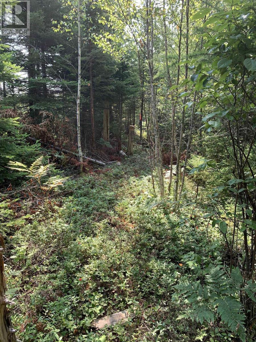 Lot 4b Hunter Road, Wentworth Valley, Nova Scotia  B0M 1Z0 - Photo 9 - 202521316
