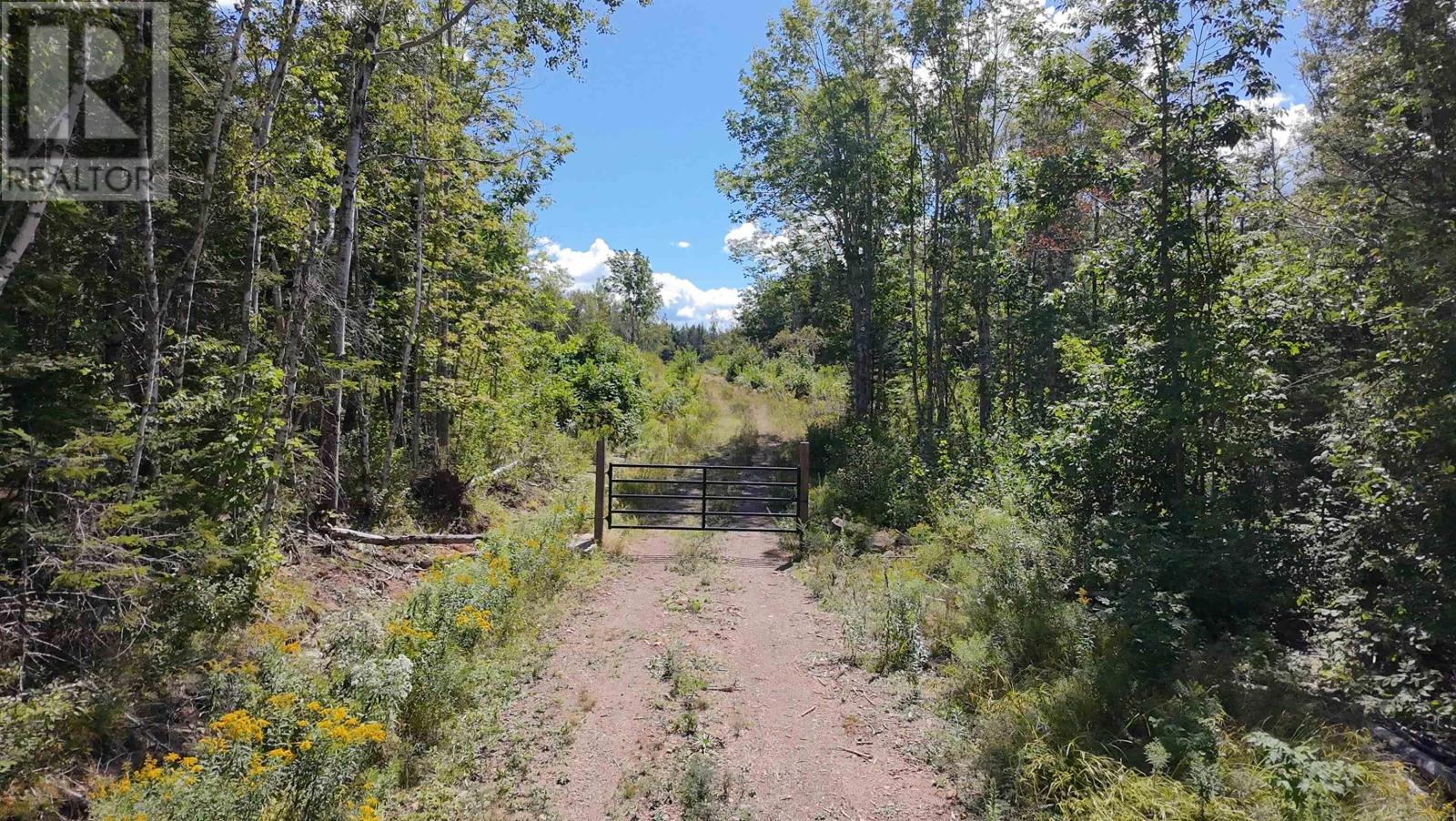 0 Lot Dalhousie Road, Loganville, Nova Scotia  B0K 1R0 - Photo 4 - 202521382