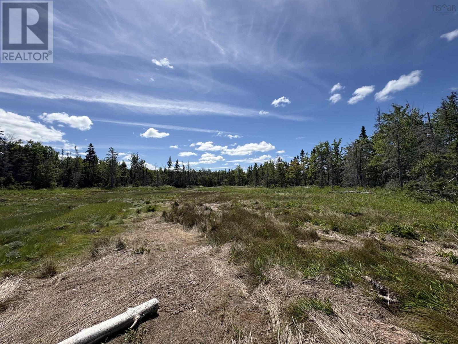 Lot 07-4 Thompson Road, Pugwash River, Nova Scotia  B0M 1P0 - Photo 2 - 202521426