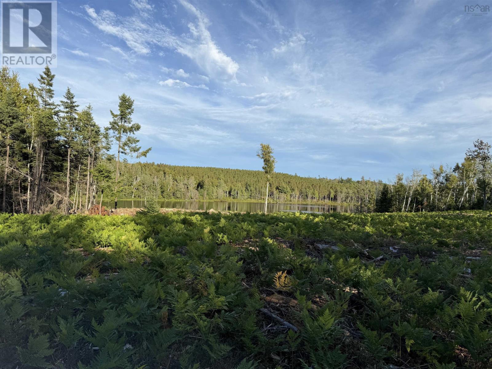 Lot 1a Pictou Landing Road, Chance Harbour, Nova Scotia  B0K 1X0 - Photo 19 - 202521667