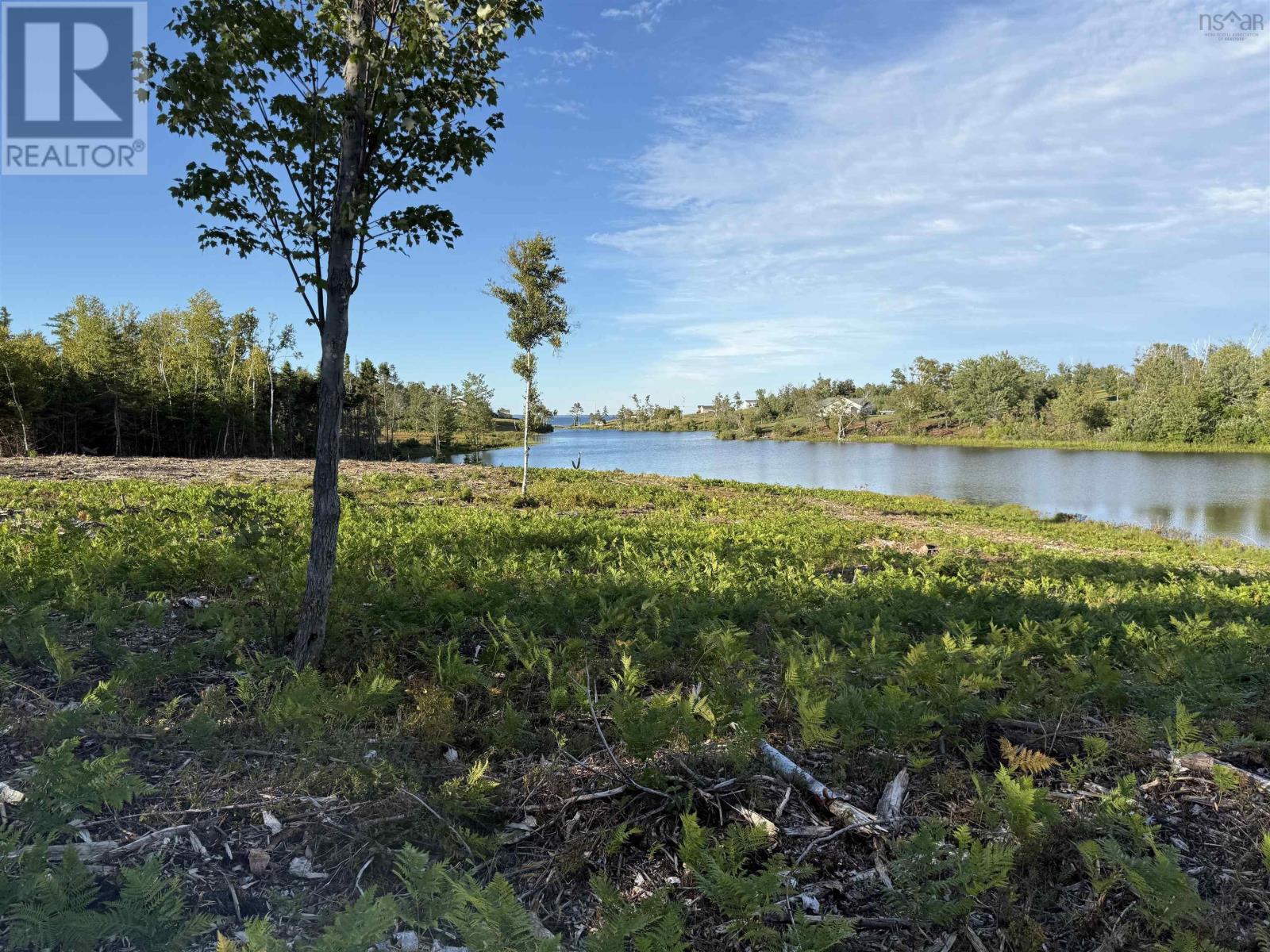 Lot 1a Pictou Landing Road, Chance Harbour, Nova Scotia  B0K 1X0 - Photo 21 - 202521667