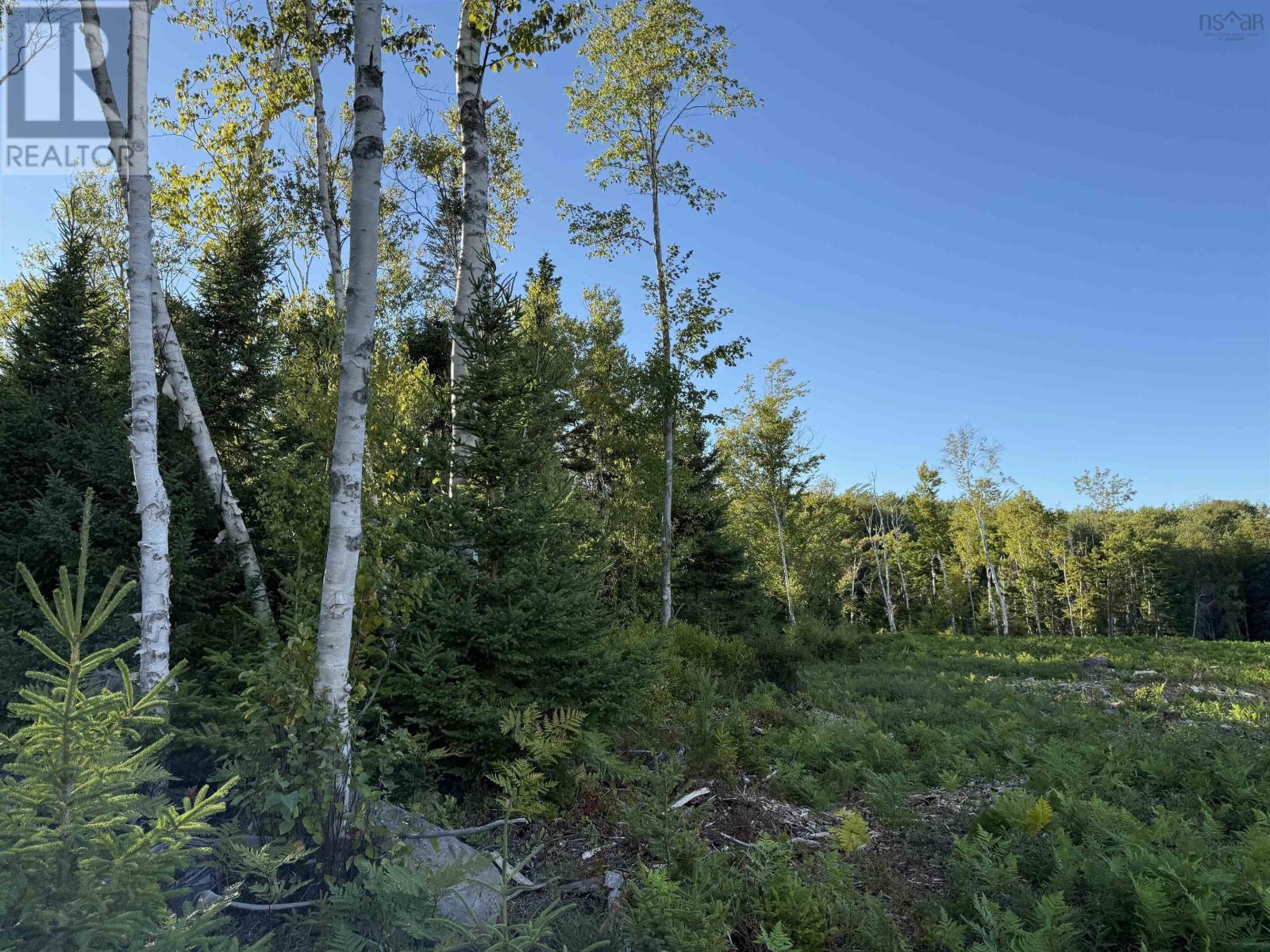 Lot 1a Pictou Landing Road, Chance Harbour, Nova Scotia  B0K 1X0 - Photo 24 - 202521667