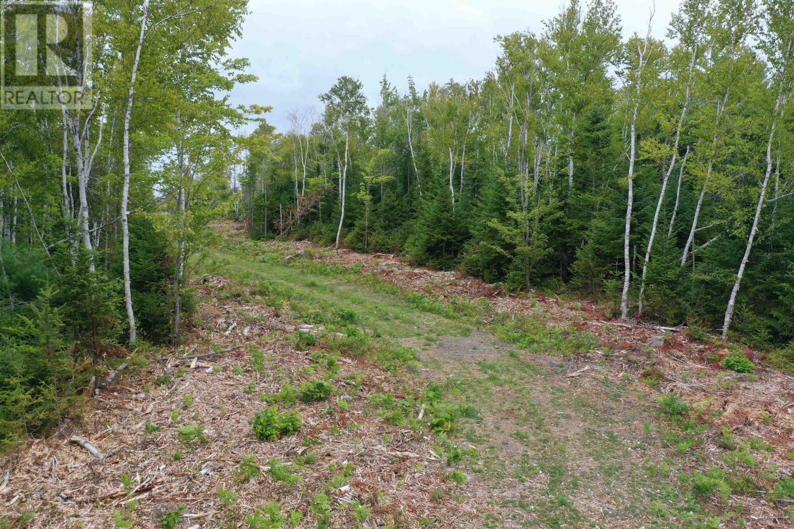 Lot 1a Pictou Landing Road, Chance Harbour, Nova Scotia  B0K 1X0 - Photo 40 - 202521667