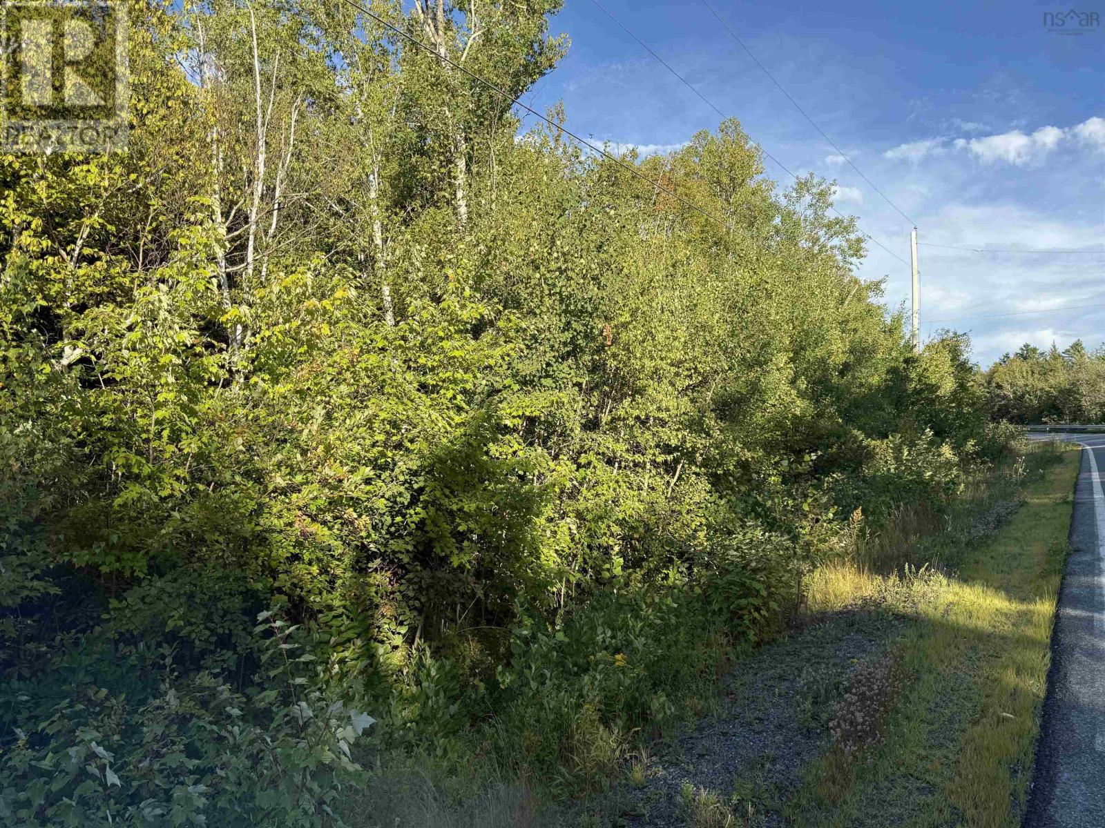 Lot 1a Pictou Landing Road, Chance Harbour, Nova Scotia  B0K 1X0 - Photo 42 - 202521667