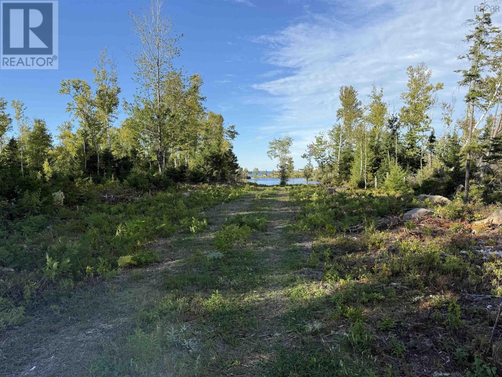 Lot 1a Pictou Landing Road, Chance Harbour, Nova Scotia  B0K 1X0 - Photo 5 - 202521667
