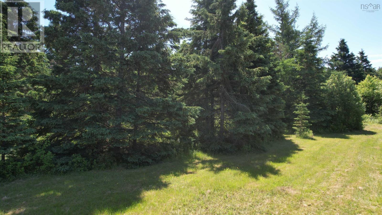700 307 Highway, Wentworth, Nova Scotia  B0M 1Z0 - Photo 16 - 202521773