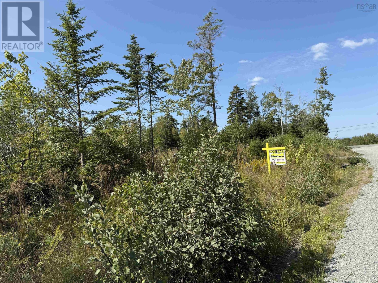 Land Beck Road, Scotch Hill, Nova Scotia  B0K 1H0 - Photo 10 - 202522298