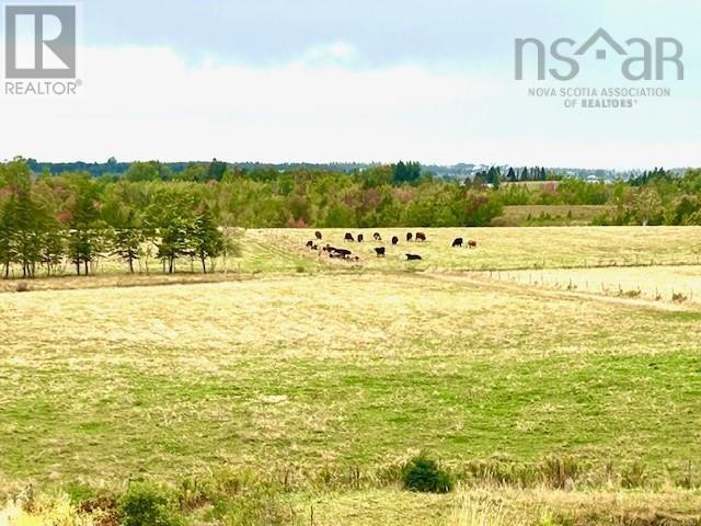1143 Upper River John Road, Middleton, Nova Scotia  B0K 1V0 - Photo 12 - 202524596