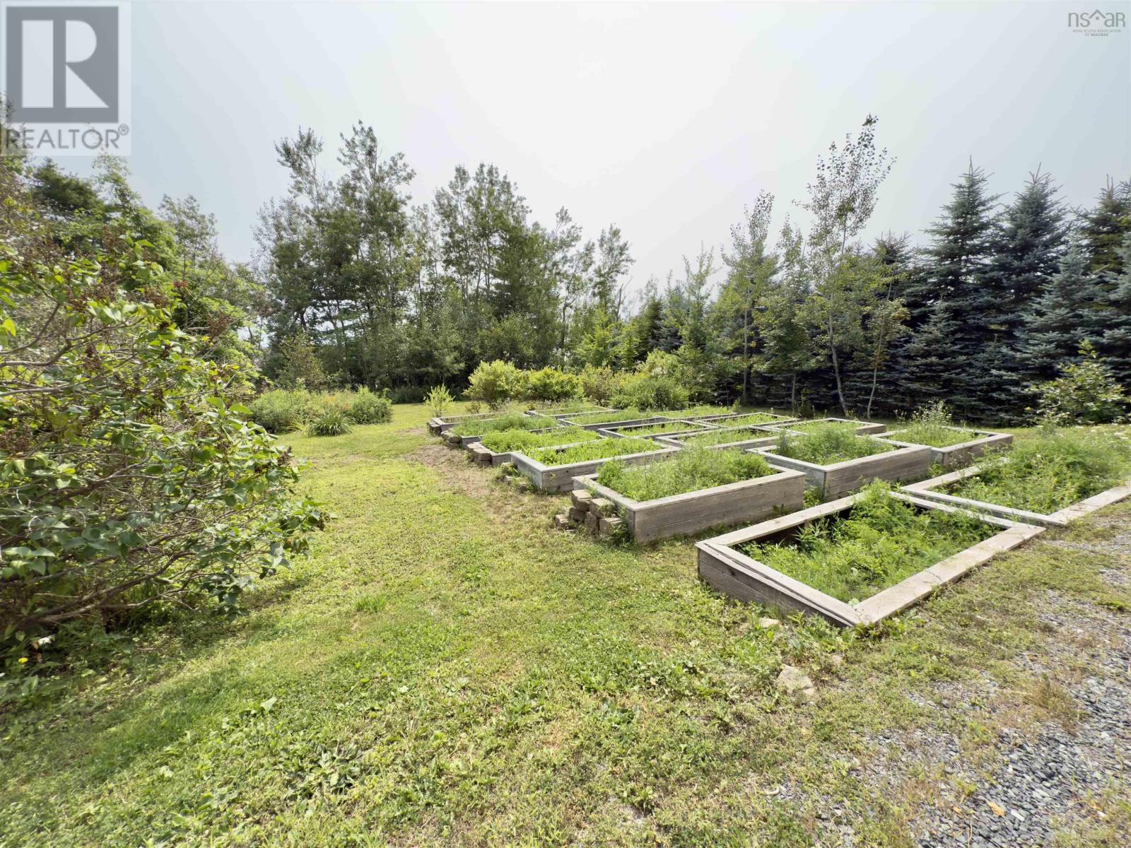 2594 376 Highway, Lyons Brook, Nova Scotia  B0K 1H0 - Photo 2 - 202524717