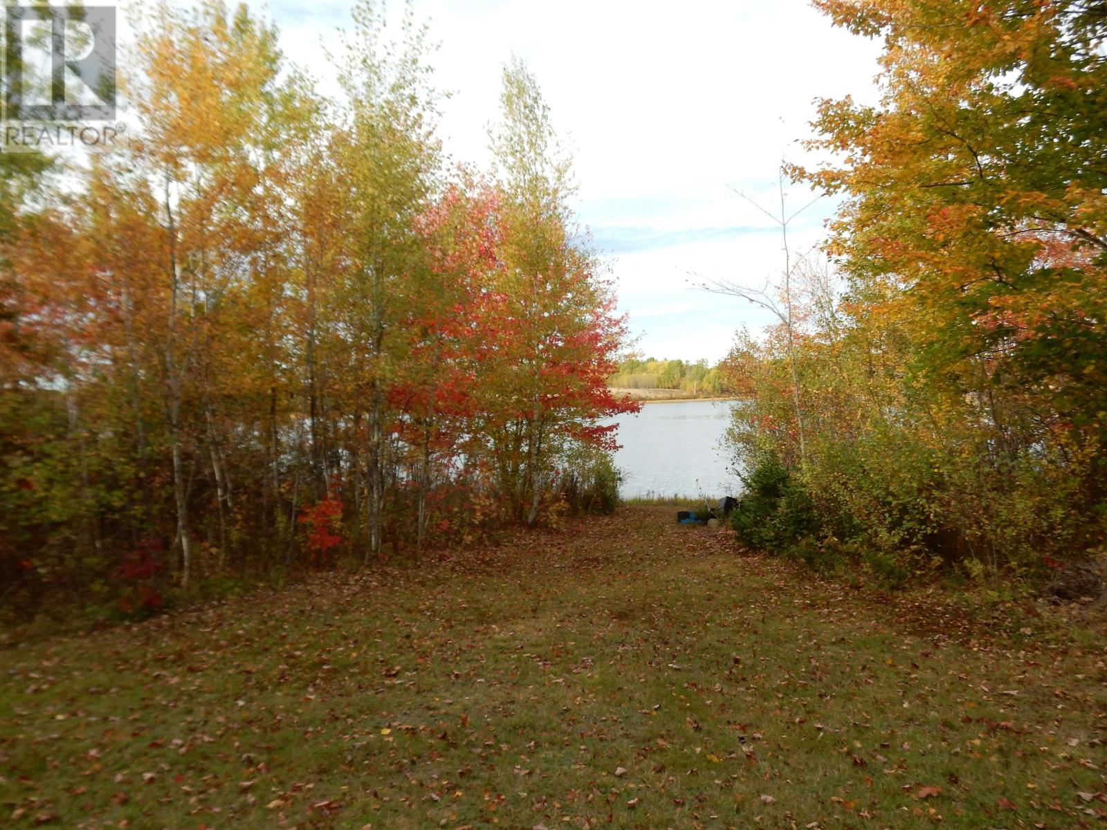 Highway 6, Waldegrave, Nova Scotia  B0K 1V0 - Photo 3 - 202525994