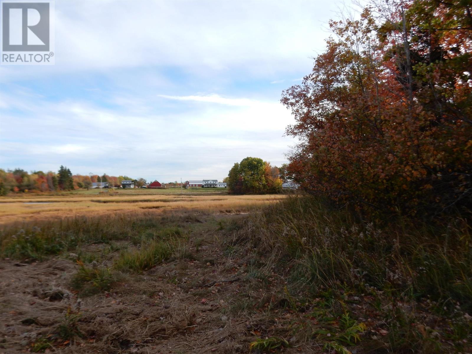Highway 6, Waldegrave, Nova Scotia  B0K 1V0 - Photo 21 - 202525995