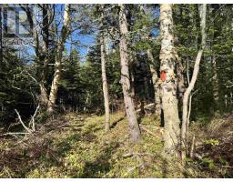 24-1 Forest Drive Extension, Pictou, Nova Scotia